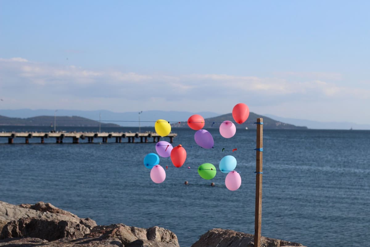 Vibrant balloons tied with a seaside view, embodying joy and freedom in nature